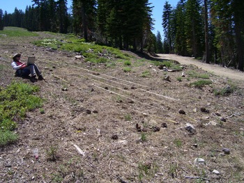 Erosion monitoring at Rainbow Ridge road, one year following treatment