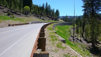 Treated cut and fill slopes along Highlands View Road, one year following treatment