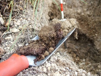 Soil investigation/soil sample collection